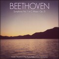 Berliner Philharmoniker、André Cluytens - Symphony No.1 in C Major, Op. 21: Adagio (Allegro Molto e Vivace)