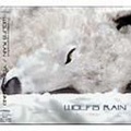 菅野よう子 - Tell me what the rain knows