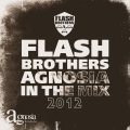 flash brothers - Sanctuary
