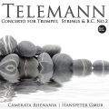 Hanspeter Gmür、Rudolf Zartner、Rolf Quinque - Telemann - Concerto for Trumpet, Strings & Bass Continuo No.2 in D Major: I. Andante