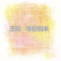 王欣 - 等待情郎你快出现