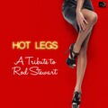 Ameritz Countdown Tributes - Hot Legs