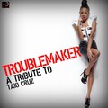 Ameritz Countdown Tributes - Troublemaker