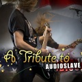 Ameritz Tribute Tracks - Show Me How to Live