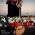 Ameritz Tribute Tracks - You Still Take Me There