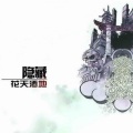隐藏 - 毕其功于一役