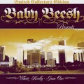 Baby Beesh - Why Would I Lie