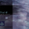 FLUID - Crashed