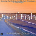 Bamberg Chamber Orchestra、Hanspeter Gmür - Concerto for Clarinet, English Horn & Orchestra in B Flat Major: III. Vivace