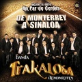 Edwin Luna y La Trakalosa de Monterrey - Un Par de Cerdos