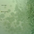 Aidan Baker - Open Set I