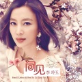 李玲玉 - 爱的归宿