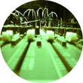 Bolz Bolz - Universal Language