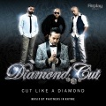 Diamond Cut、Jazzy B、D&S、DS - Feem