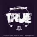 Beat Factory - True (TR20 Remix)