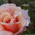 Charlie Williams - The Rose