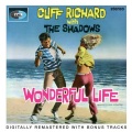 Wonderful Life (2005 Digital Remaster)