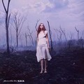 Janne Da Arc - セル
