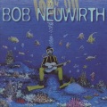 bob neuwirth - Blue Detour