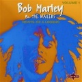 Bob Marley - Keep On Skanking