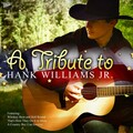Ameritz Tribute Club - Whiskey Bent and Hell Bound