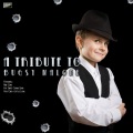 Ameritz Tribute Club - Down & Out