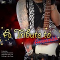 Ameritz Tribute Club - I Don't Want to Miss a Thing