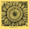 Blaudzun - Solar (radio edit)