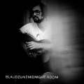Blaudzun、Pien Feith - Midnight Room