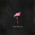 Blaudzun - Tidal Wave