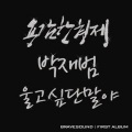 勇敢兄弟、朴宰范 - 너를 그린다