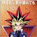 WANDS - 明日もし君が壊れても