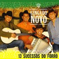 Gingado Novo - Homem Galinha