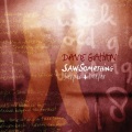 Dave Gahan - Deeper And Deeper (Shrubbn!! Single Version)