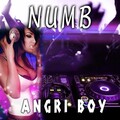 Angri Boy - Numb
