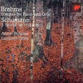 anner bylsma - Johannes Brahms: Sonata for cello & piano No. 1 in E minor, Op. 38 (I. Allegro non troppo)