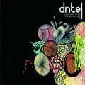 dntel - In Which Our Hero Begins His Long and Arduous Quest