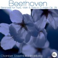 Chamber Ensemble Heidelberg - Serenade for Flute, Violin & Viola in D Major, Op.25: I. Allegro