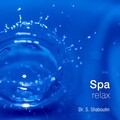 Dr.Sergei Shaboutin - Relaxation Of The Mind