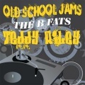 Teddy Riley - Didja Dub To Party
