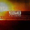 Marigold - Chemistry