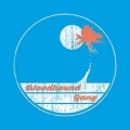 Bloodhound Gang - Screwing You On the Beach At Night