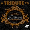 A Tribute to the Jonas Brothers, Vol. 1