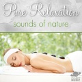 Pure Relaxation: Sounds of Nature