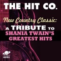 The Hit Co. - You Win My Love