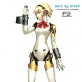 agidyne - Burn My Dread (Arranged)