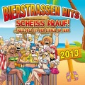 Dance DJ - Scheiss Drauf! (..Mallorca Ist Nur Einmal I'm Jahr)