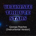 Lauren Alaina - Georgia Peaches (Instrumental Version)