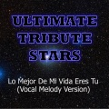 Ultimate Tribute Stars (终极明星致敬) - Ricky Martin - Lo Mejor De Mi Vida Eres Tu (VocalMelodyVersion)