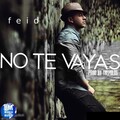Feid - No Te Vayas